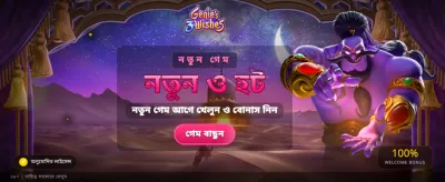 Feel the Thrill of Live Casino